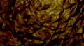 Grim, orange background in the form of triangles. loop HD Footage