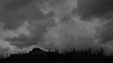 A Grim Piece of Grass on a Dark Ckouds Sky Background Stock Footage 310630683