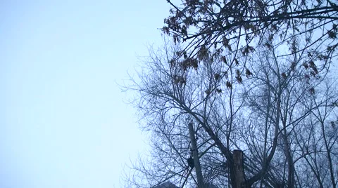 Grim playground in the mist of the old school Stock Footage 59338014