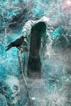 A grim reaper / ghost / witch in a long hood  in the middle of the dark woods Stock Illustration
