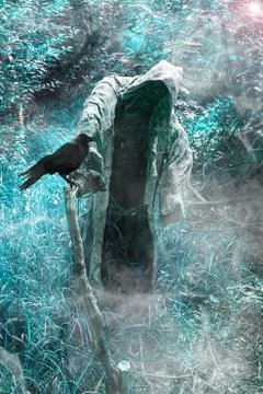 A grim reaper / ghost / witch in a long hood  in the middle of the dark woods Stock Illustration