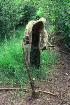 A grim reaper / ghost / witch in a long hood  in the middle of the dark woods. Stock Photos