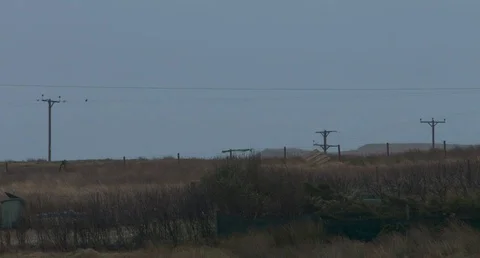 Grim Telephone Pole Landscape Stock Footage 70596448