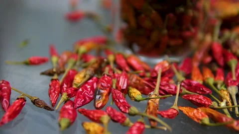 Grind in an automatic blender grind red chili pepper woman hand's added Stock Footage 301295584