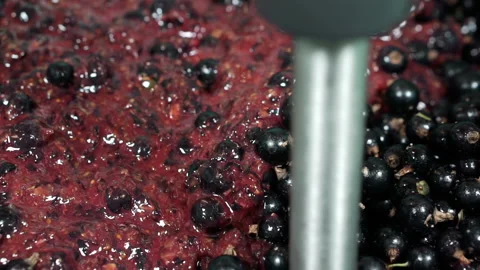 Grind black berries with a blender. Stock Footage 158596178