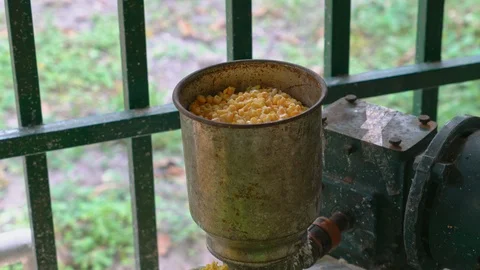 Grind Corn TiltDown 4K Stock Footage 119885216