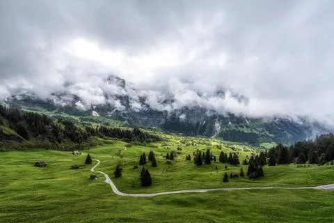 Grindelwald valley covered in cloud Stock Photos