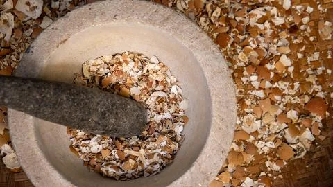 Grinder Eggshell Processing A Traditional Approach to Organic Sustainability 写真素材
