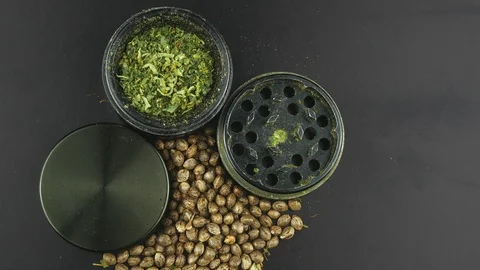 Grinder full of weed and a bunch of seeds marijuana rotates on a dark background Vídeo Stock 126539789