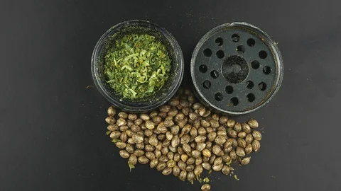 Grinder to grind herbs filled grated marijuana. 스톡 동영상 126538153