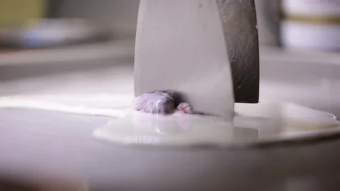 Grinding berries with metal tools. Stock Footage 89445891