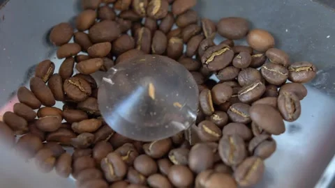 Grinding Coffee Beans in an Electric Grinder – Close-Up Shot Stock Footage 306232050