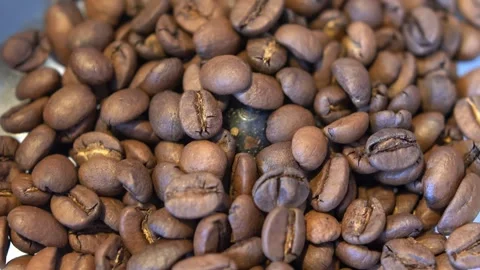 Grinding Coffee Beans in an Electric Grinder – Close-Up Shot Stock Footage 306232065
