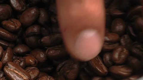 Grinding Coffee Beans Stock Footage 91505464