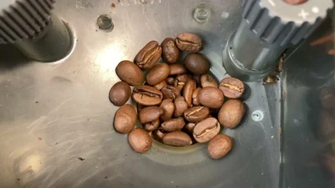 Grinding of coffee beans. The last coffee beans are ground Stock Footage 146034302