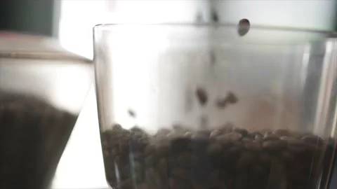 Grinding coffee Stock Footage 232870312