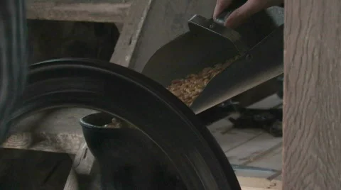 Grinding Corn Close-Up Video stock 279600