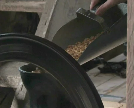 Grinding Corn Close-Up Stock Footage 283343