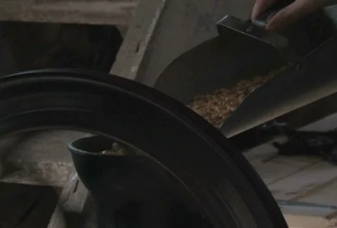 Grinding Corn Close-Up Stock Footage 283802