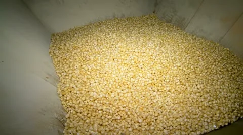 Grinding corn in old watermill in a traditional way Stock Footage