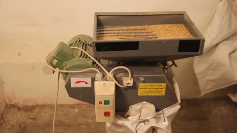 Grinding of malt for producing beer at the brewery. The crushing of the malt in Stock Footage 87737994