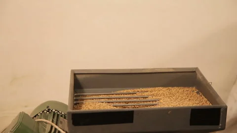 Grinding of malt for producing beer at the brewery. The crushing of the malt in Stock-Footage 87738176