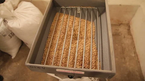 Grinding of malt for producing beer at the brewery. The crushing of the malt in 動画素材 87898166