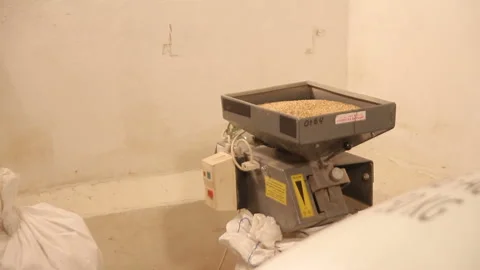 Grinding of malt for producing beer at the brewery. The crushing of the malt in 動画素材 87898700