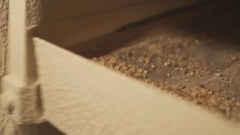 Grinding of malt for producing beer Making Craft beer. Stock Footage 156517874