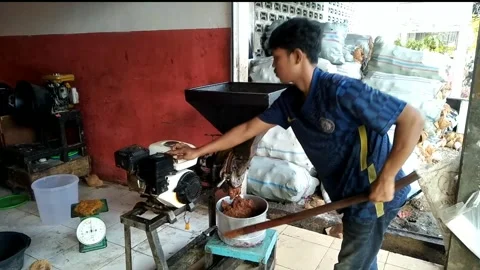 Grinding Peanuts in the market Stock Footage 246346534