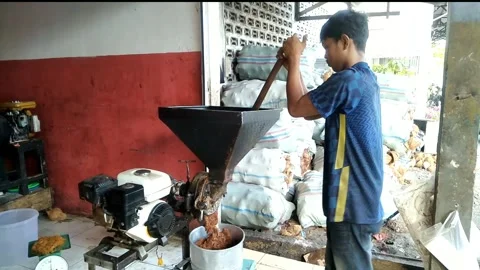 Grinding Peanuts in the market Stock Footage 246346535