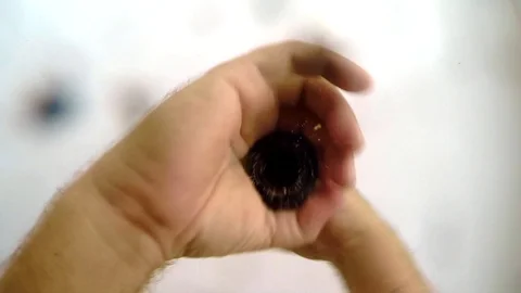 Grinding pepper (view from below) Stock Footage 117442547