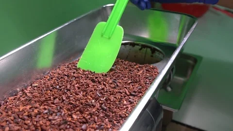 Grinding process. Cocoa nibs are ground into cocoa mass, unsweetened chocolate. Stock Footage 88953296