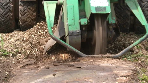 Grinding Stump with industrial stump grinder Stock Footage 178647840