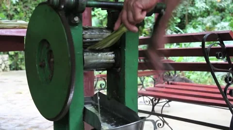 Grinding Sugar Cane Stock-Footage 62937494