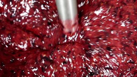 Grinding various berries with a blender. Stock Footage 158597370