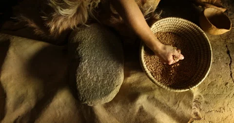 Grinding wheat Stock-Footage 61269189