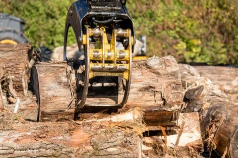 Gripper of a crane Stock Photos
