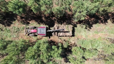 Gripper Of Tractor Stacking Tree Trunks, Vertical Drone View Stock Footage 162274919