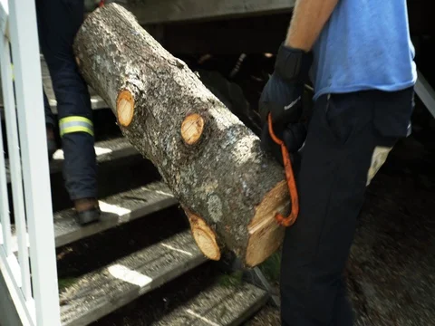 Gripping a log with a tool Stock Footage 74834416