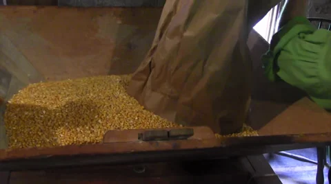 Grist mill 10 動画素材 28499072