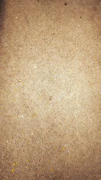 Gritty asphalt surface texture with small yellow petals. Stock Photos