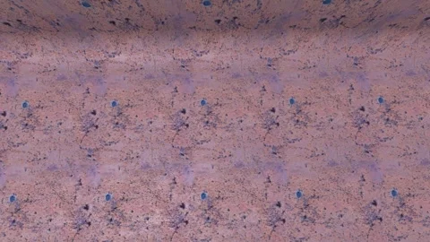 Gritty Brown Surface Texture Ground Detail CloseUp Stock Footage 312972962