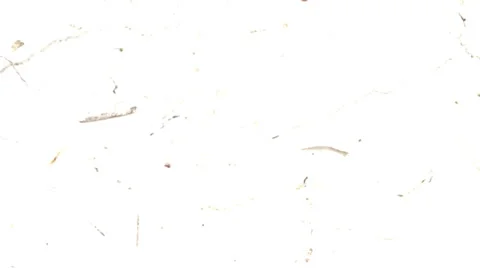 Gritty Film Texture Stock Footage 22899827