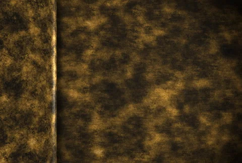 Gritty Gold Sidebar Stock Footage 888096