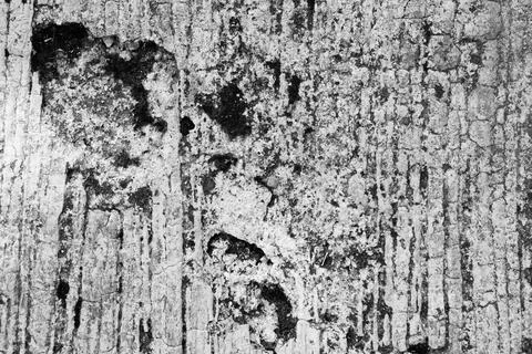 Gritty Weathered Concrete Texture Background for Urban Design 库存照片