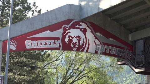 Griz logo 4K Stock Footage 90312406