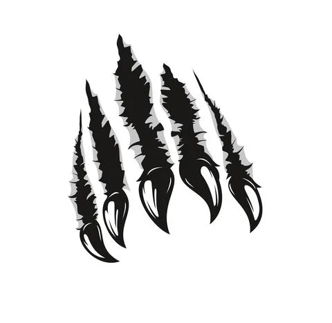 Grizzly bear claw marks, wild animal paw scratches Stock Illustration
