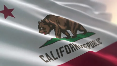 Grizzly Bear depicted walking on a patch of green grass on the USA state flag Stock Footage 288115409