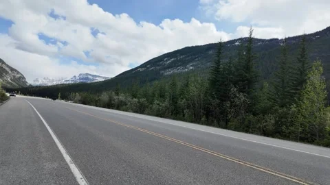 Grizzly bear in the wild Stock Footage 314800304